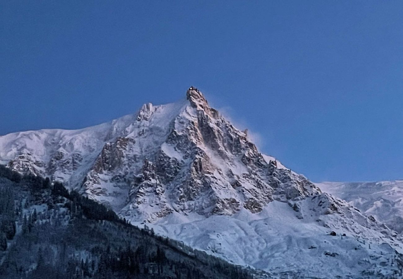 Apartment in Chamonix-Mont-Blanc - Champaign Powder - Centre - Vue Mt Blanc