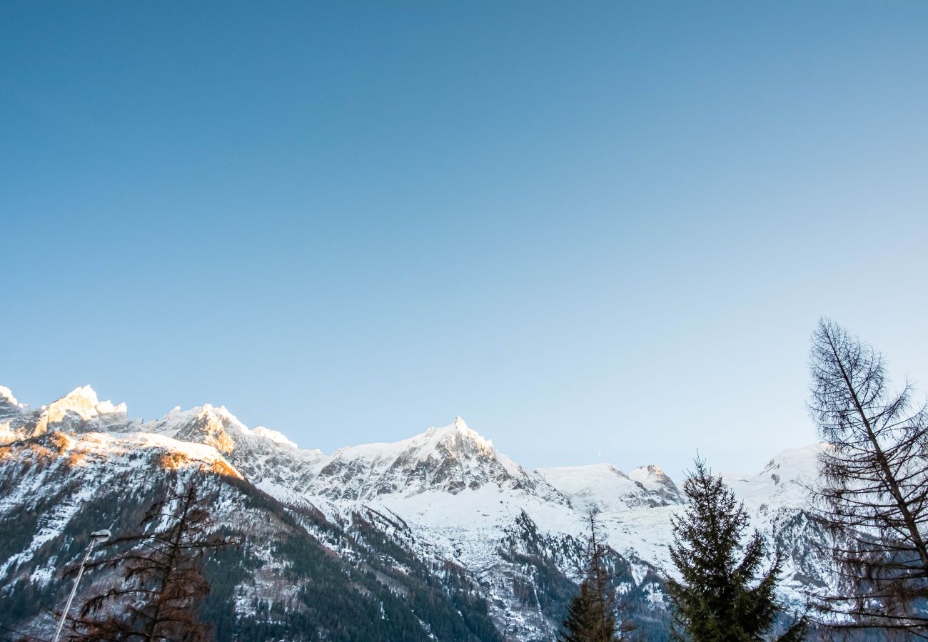 Chalet in Chamonix-Mont-Blanc - Chalet Primerose - Sauna privé - Proche Centre