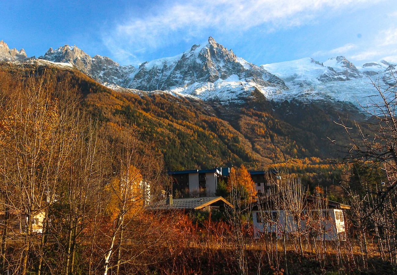 Apartment in Chamonix-Mont-Blanc - Les Fleurs de Cham top - Jardin vues - Rénové