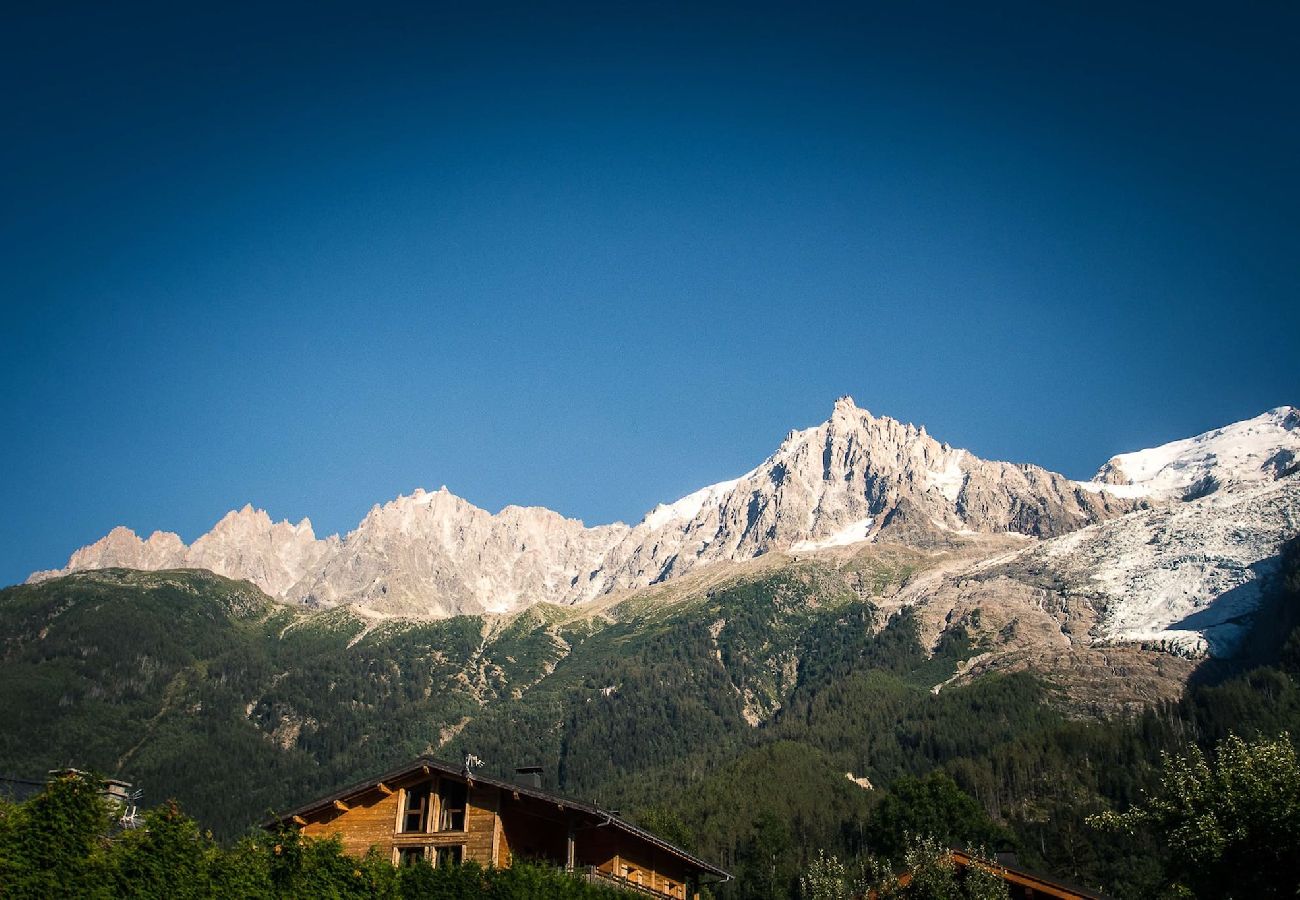 Apartment in Chamonix-Mont-Blanc - Les Ecrins des Bossons - Terrasse - vue Mt.Blanc