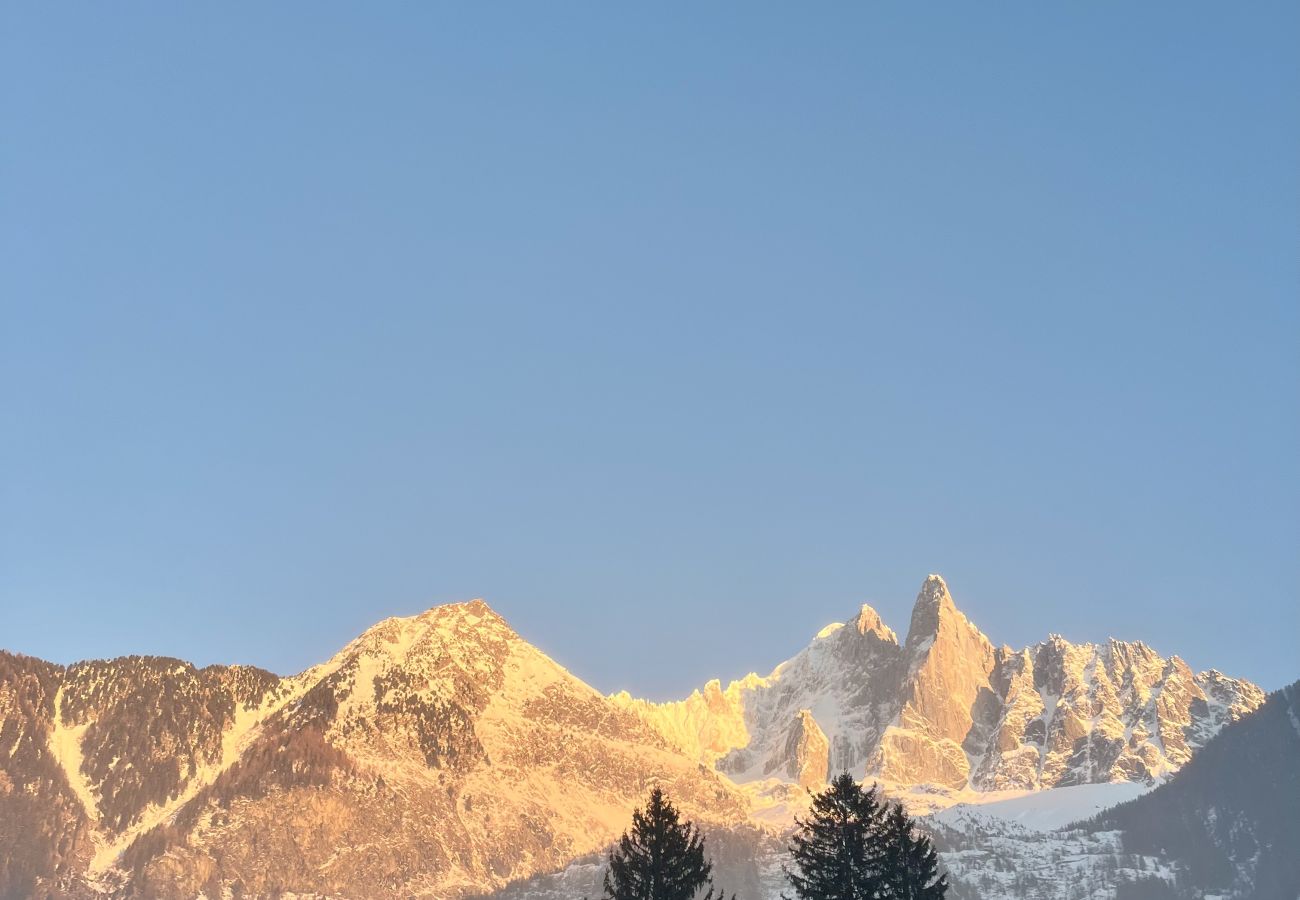 Apartment in Chamonix-Mont-Blanc - Le Chaney ·  Quiet & Mont-Blanc View