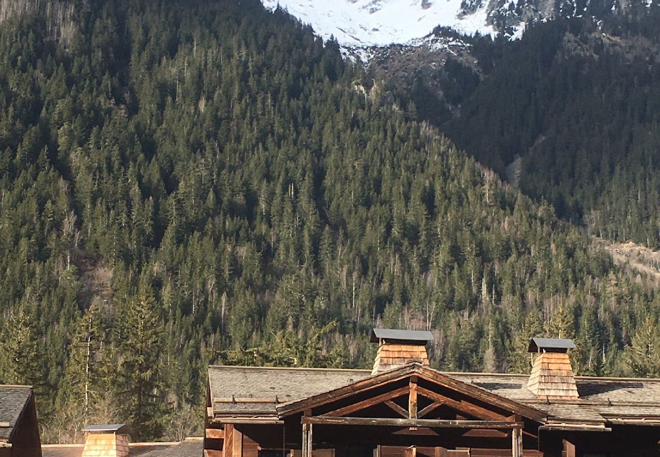 Chalet in Chamonix-Mont-Blanc - Clos des Vorgeats - Duplex Mt-Blanc View