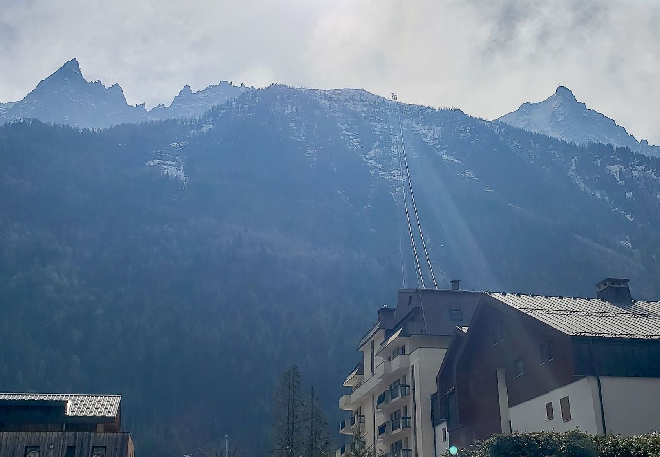 Apartment in Chamonix-Mont-Blanc - Chemin du Sapi - Jardin privé - Centre de Cham |