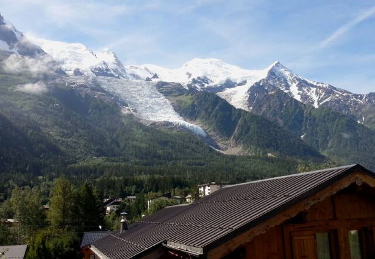 Apartment in Chamonix-Mont-Blanc - Le Chamouny - Central - Quiet - View