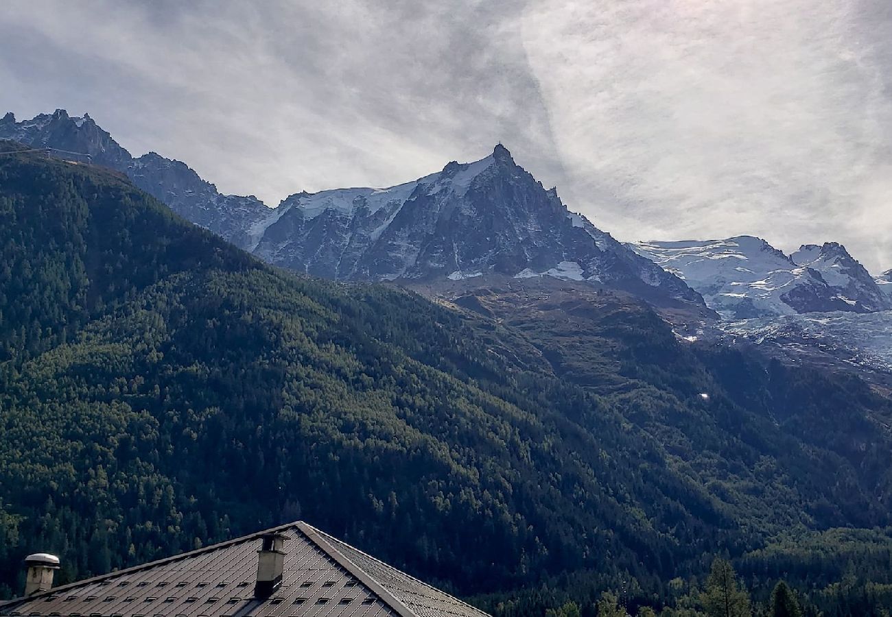 Apartment in Chamonix-Mont-Blanc - Le Chamouny - Central - Quiet - View