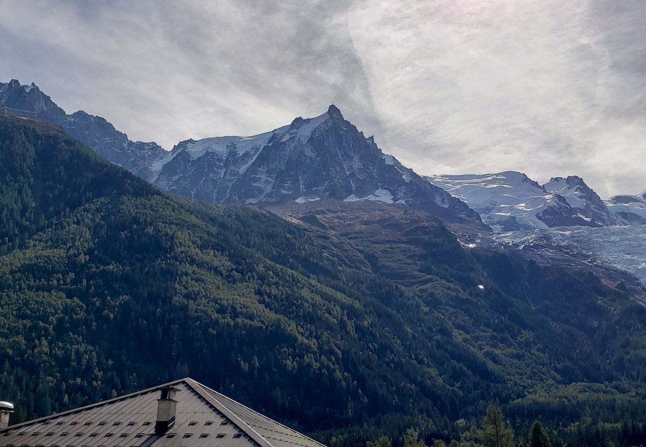 Apartment in Chamonix-Mont-Blanc - Chamouny Duplex - Vues panoramiques Mont Blanc