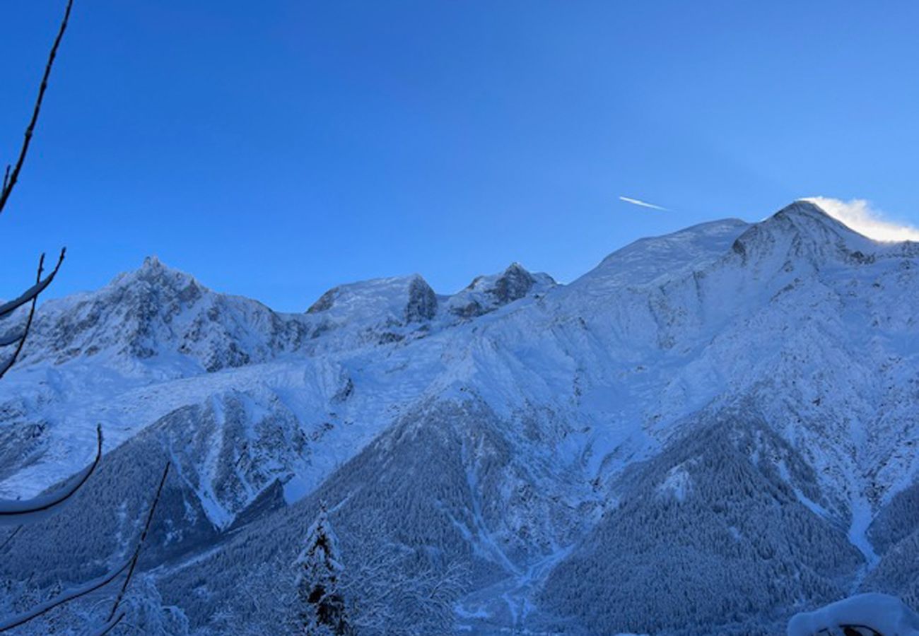 Chalet in Les Houches - Datcha of Sky - Chalet View Mt-Blanc + Studio