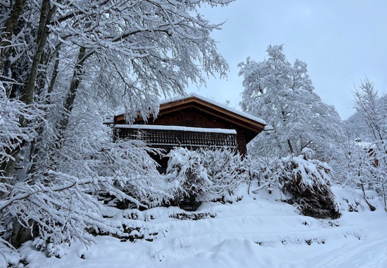 Chalet in Les Houches - Datcha of Sky - Chalet View Mt-Blanc + Studio