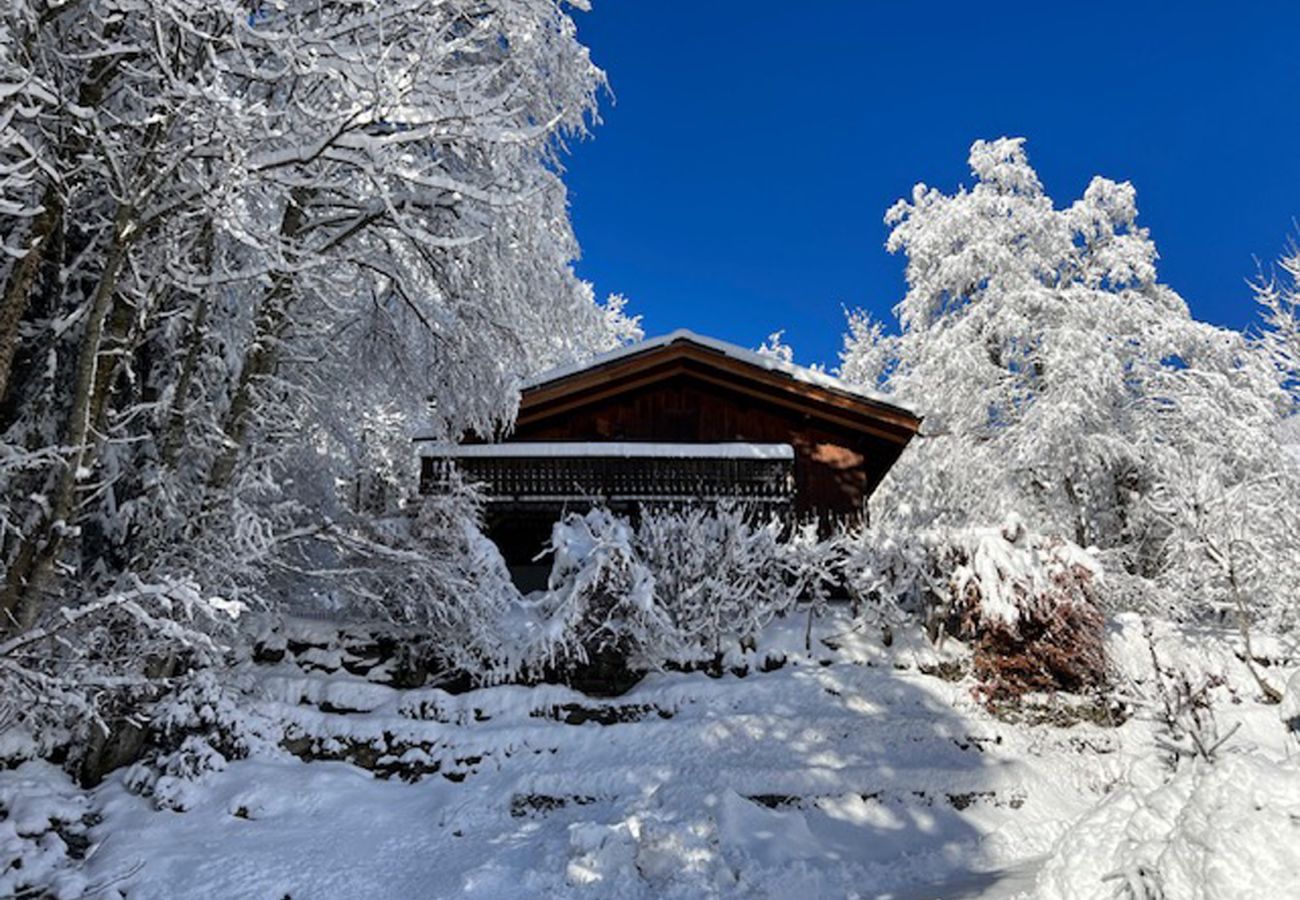 Chalet in Les Houches - Datcha of Sky - Chalet View Mt-Blanc + Studio