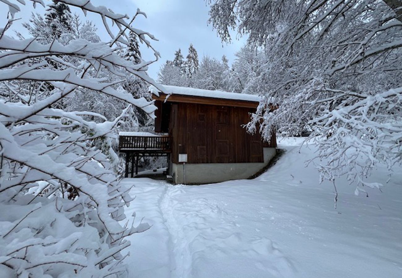 Chalet in Les Houches - Datcha of Sky - Chalet View Mt-Blanc + Studio