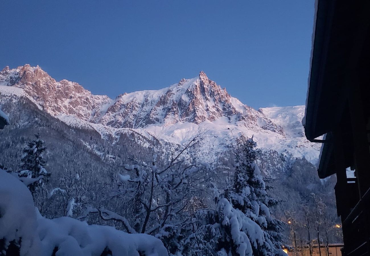 Apartment in Chamonix-Mont-Blanc - Les Capucins 2 · View Mont-Blanc