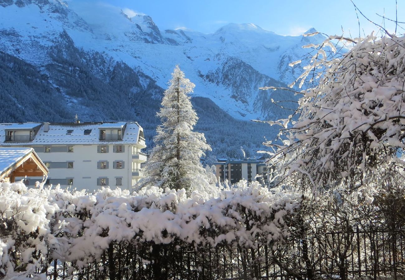 Apartment in Chamonix-Mont-Blanc - Les Alpins - Central - Garden & Mt-Blanc View