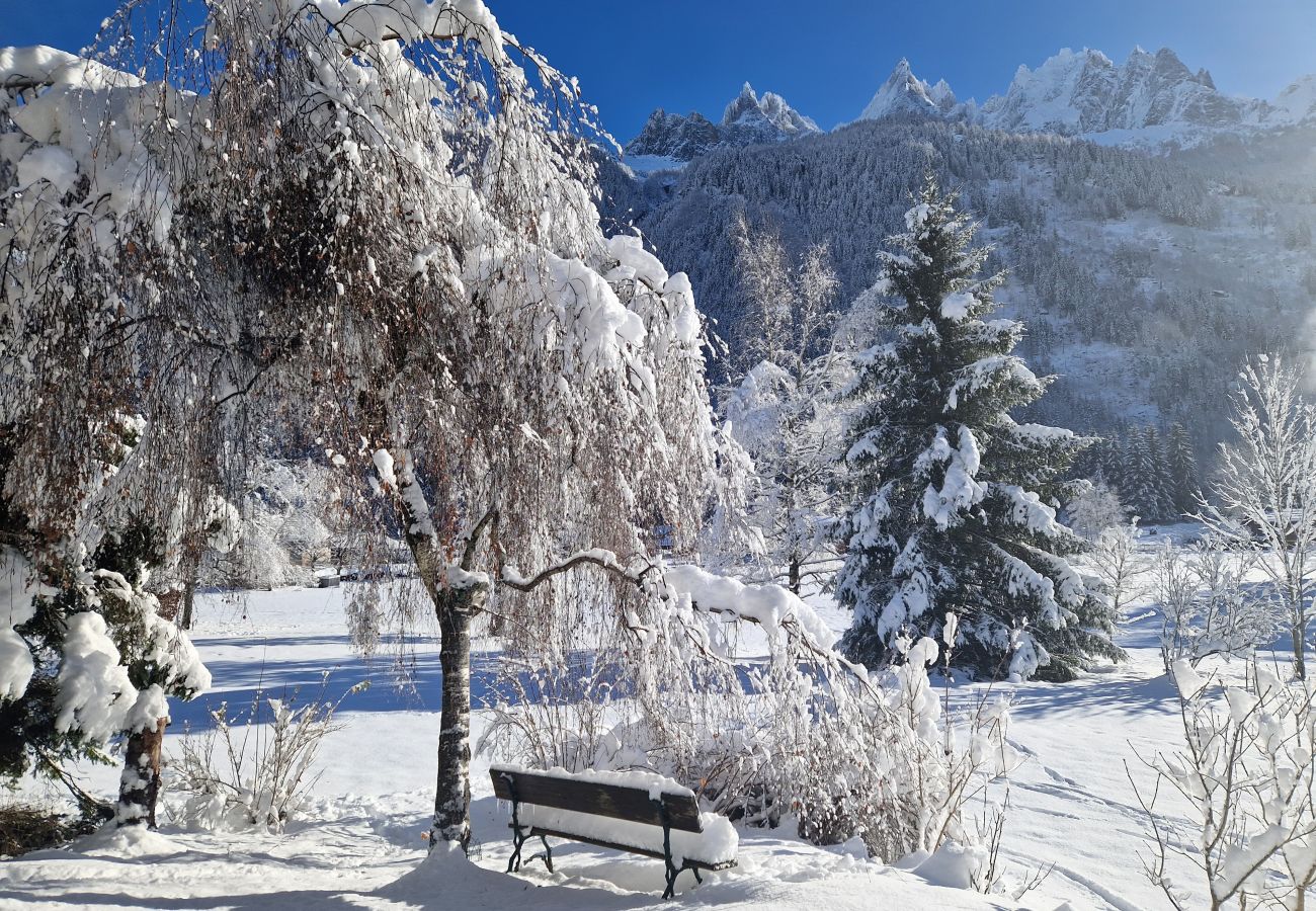 Apartment in Chamonix-Mont-Blanc - Les Tussilages - Balcon et Terrasse vue Mont-Blanc