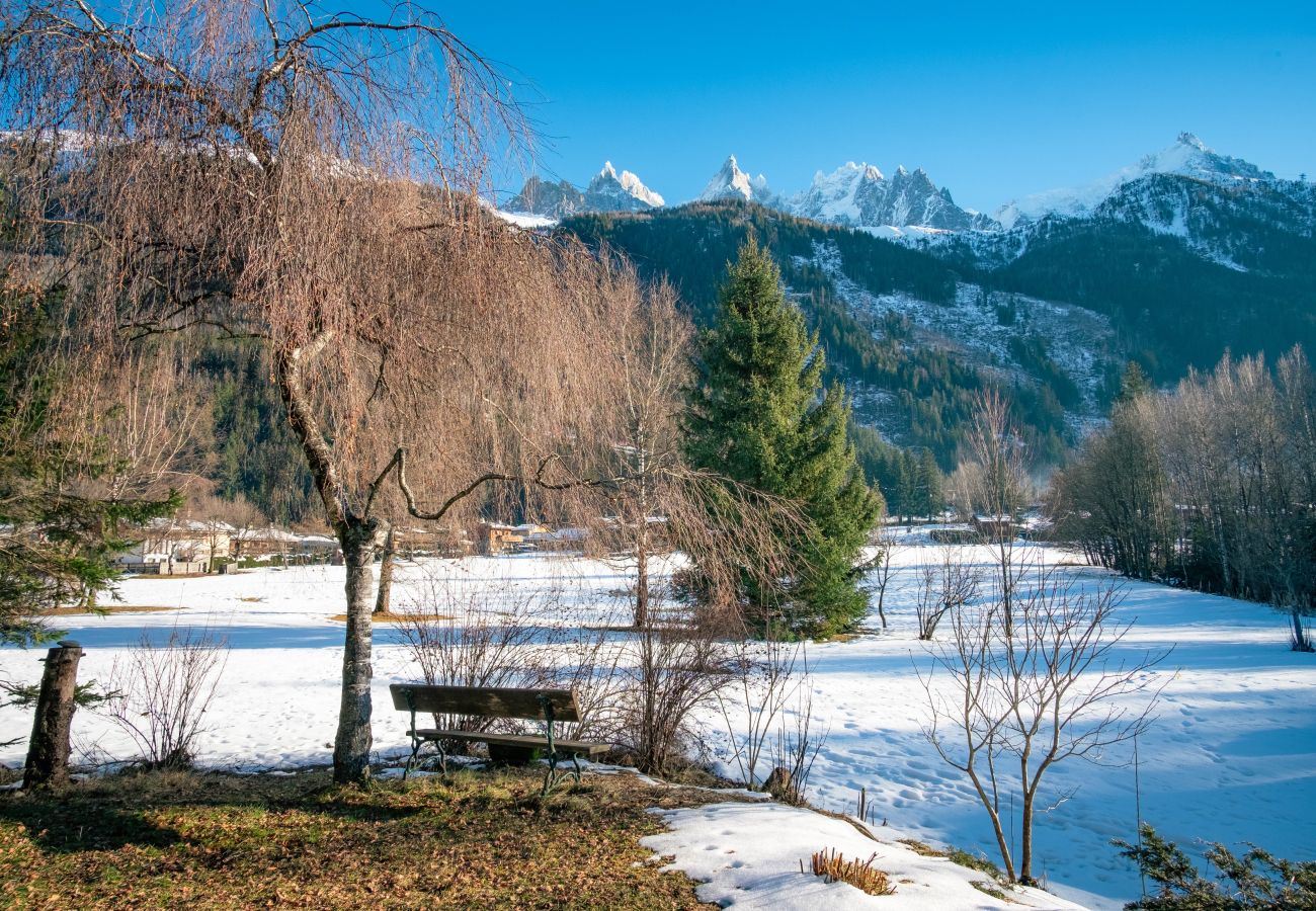 Apartment in Chamonix-Mont-Blanc - Les Tussilages - Balcon et Terrasse vue Mont-Blanc