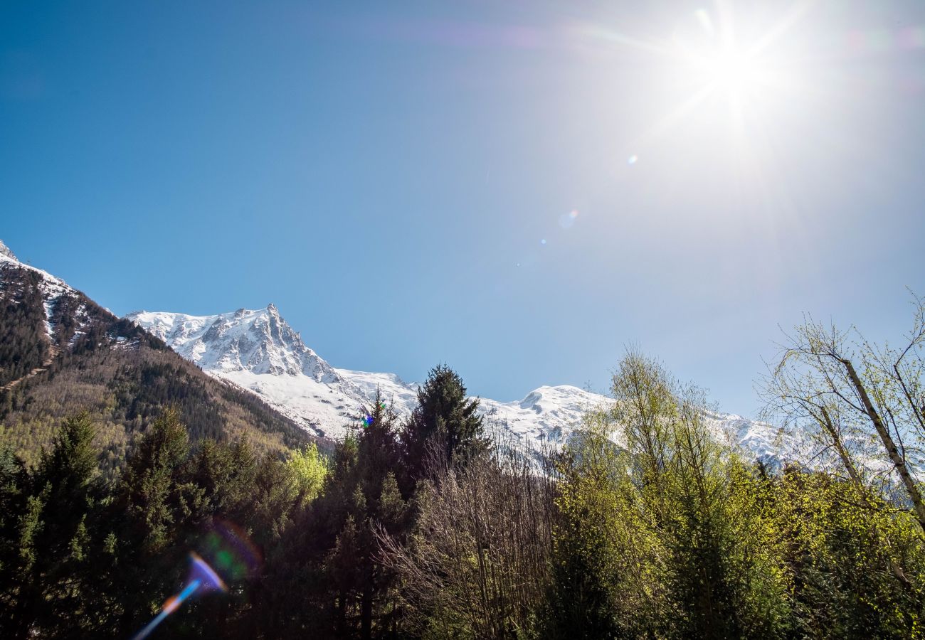 Apartment in Chamonix-Mont-Blanc - Appt Daisy - Familial - Calme - Vues