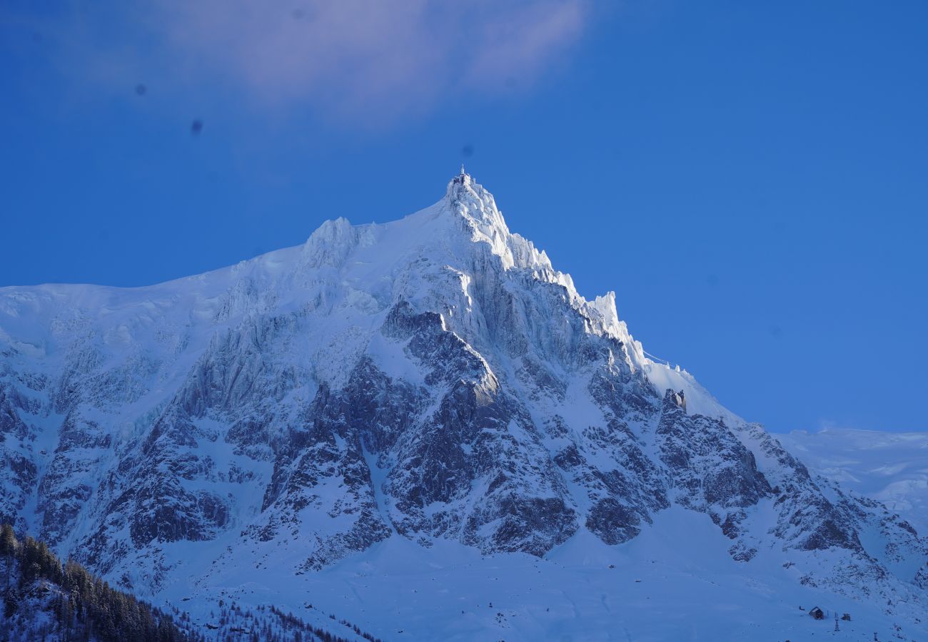 Chalet in Chamonix-Mont-Blanc - Chalet Moussoux – Vue Mont-Blanc, Jardin, Hammam