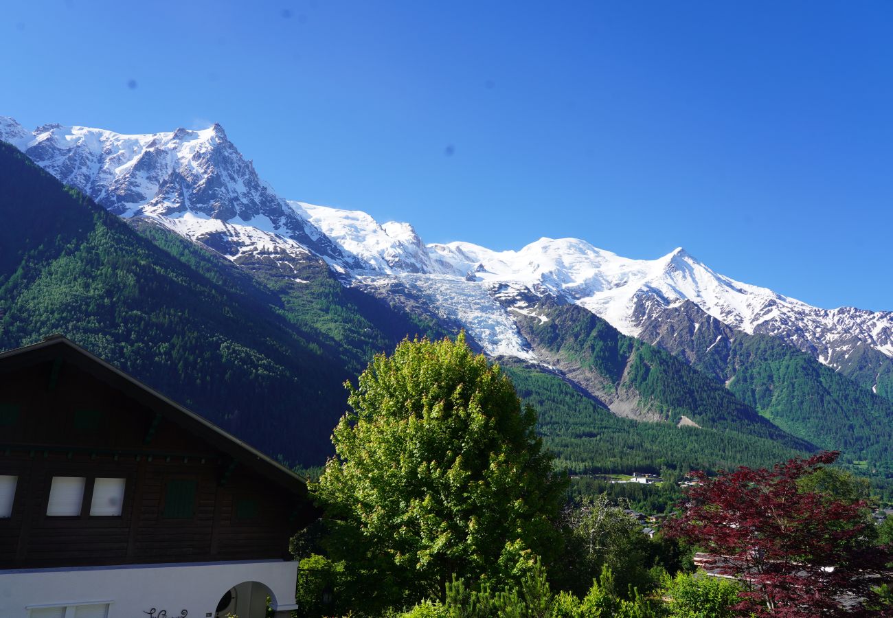 Chalet in Chamonix-Mont-Blanc - Chalet Moussoux – Vue Mont-Blanc, Jardin, Hammam