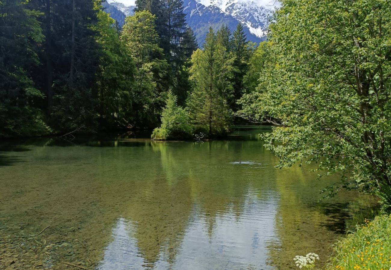 Apartment in Chamonix-Mont-Blanc - Lac des Gaillands - Rénové - Balcon avec vues