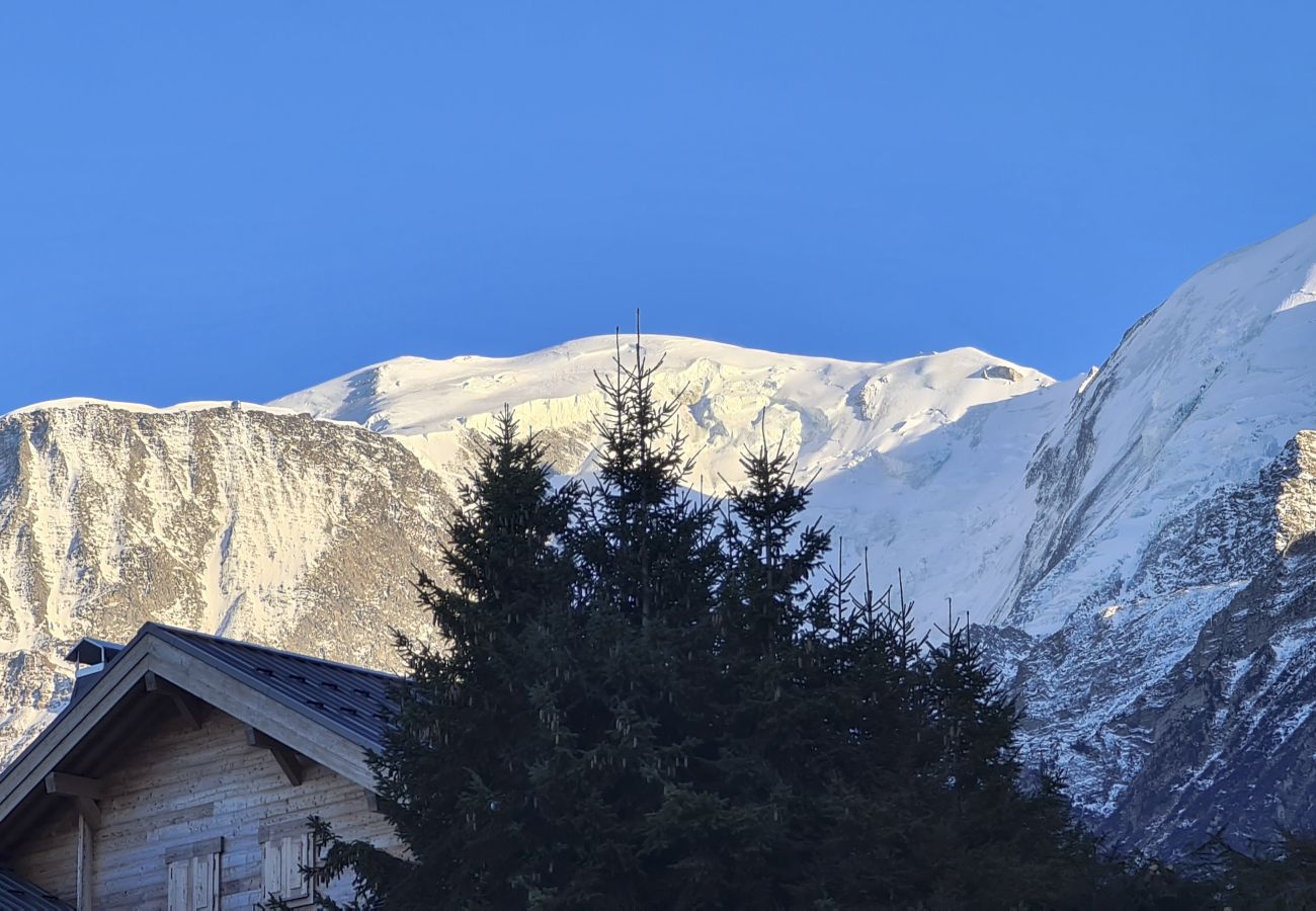 Apartment in Saint-Gervais-les-Bains - Picherie bas - 10Pax - Calme - Vue montagne