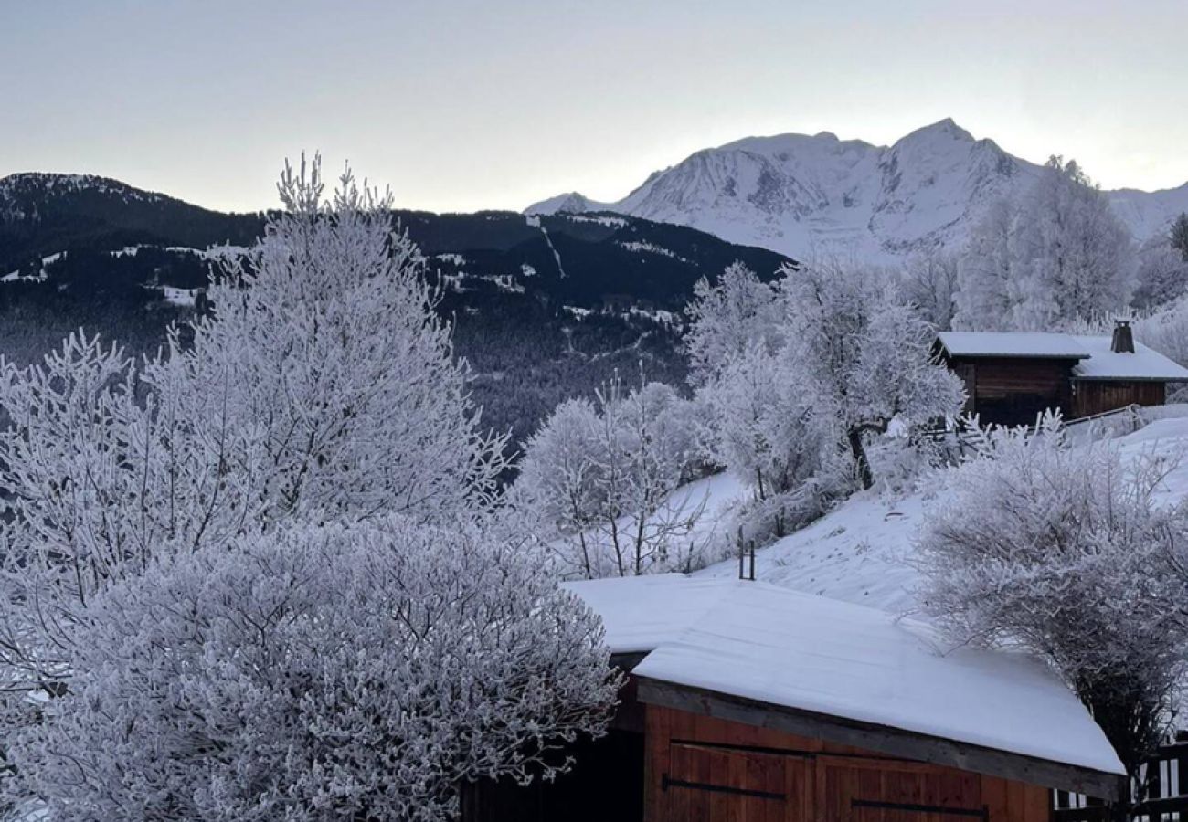 Chalet in Saint-Gervais-les-Bains - Chalet Le Splendide - Rénové - Vue Mont-Blanc