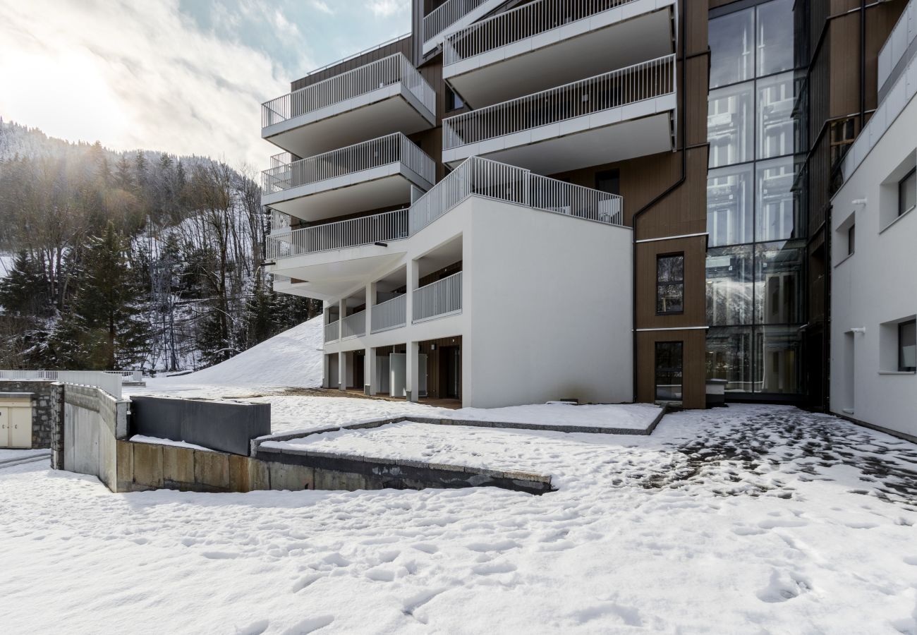 Apartment in Les Houches - Apartment Léo -Espace bien-être -Piscine