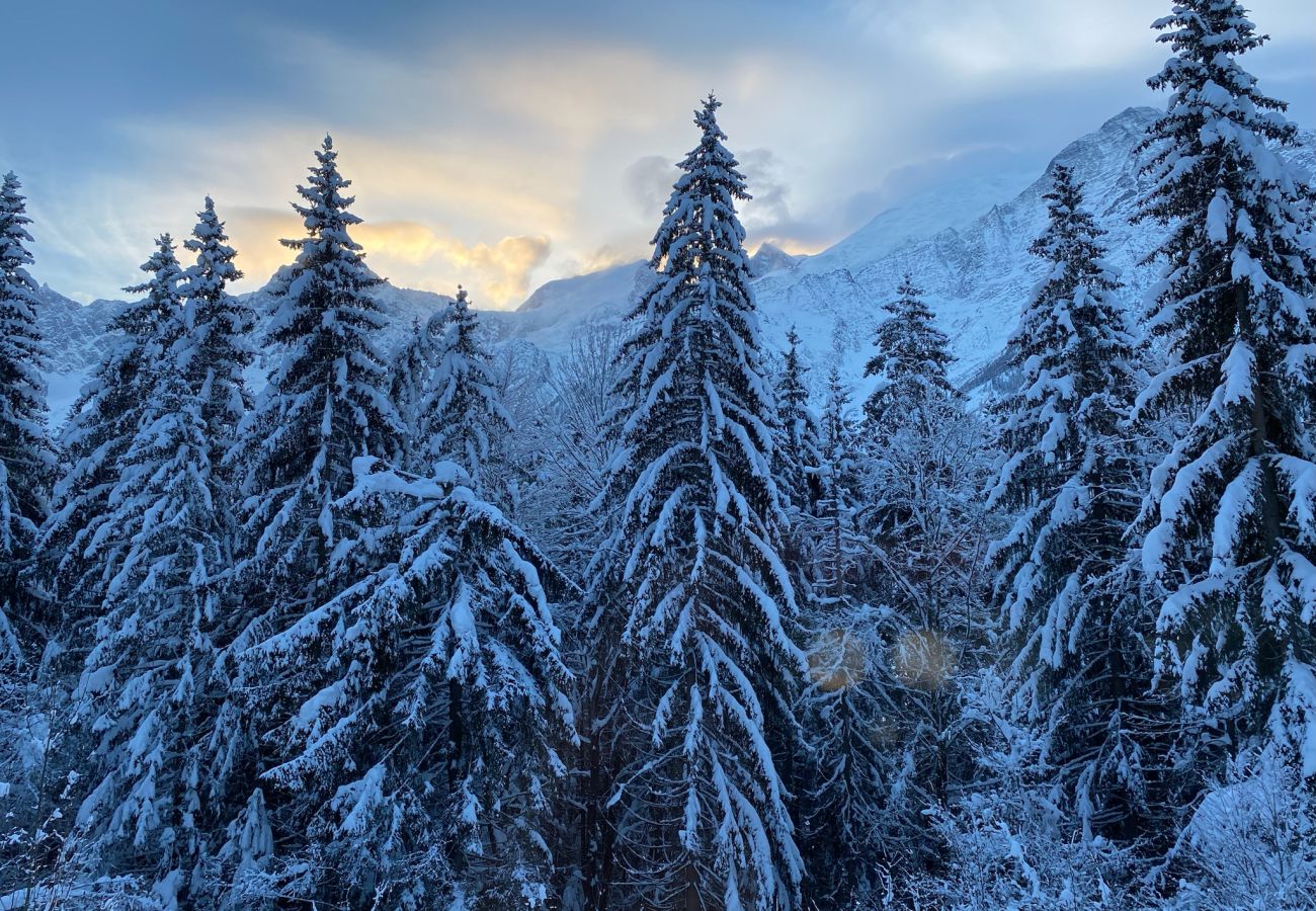 Chalet in Les Houches - Chalet des Eaux Rousses