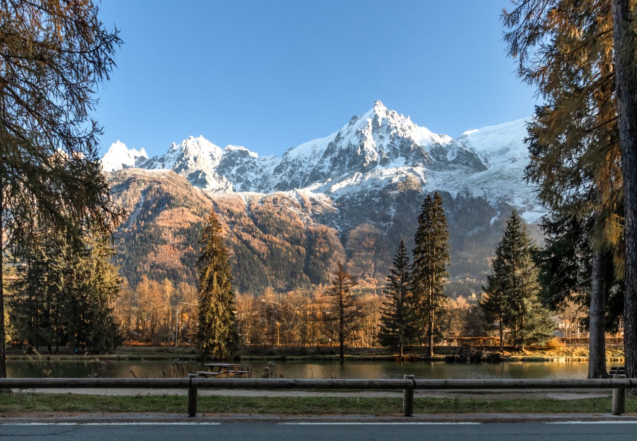 Apartment in Chamonix-Mont-Blanc - Cristal des Glaces - Balcon avec vue imprenable