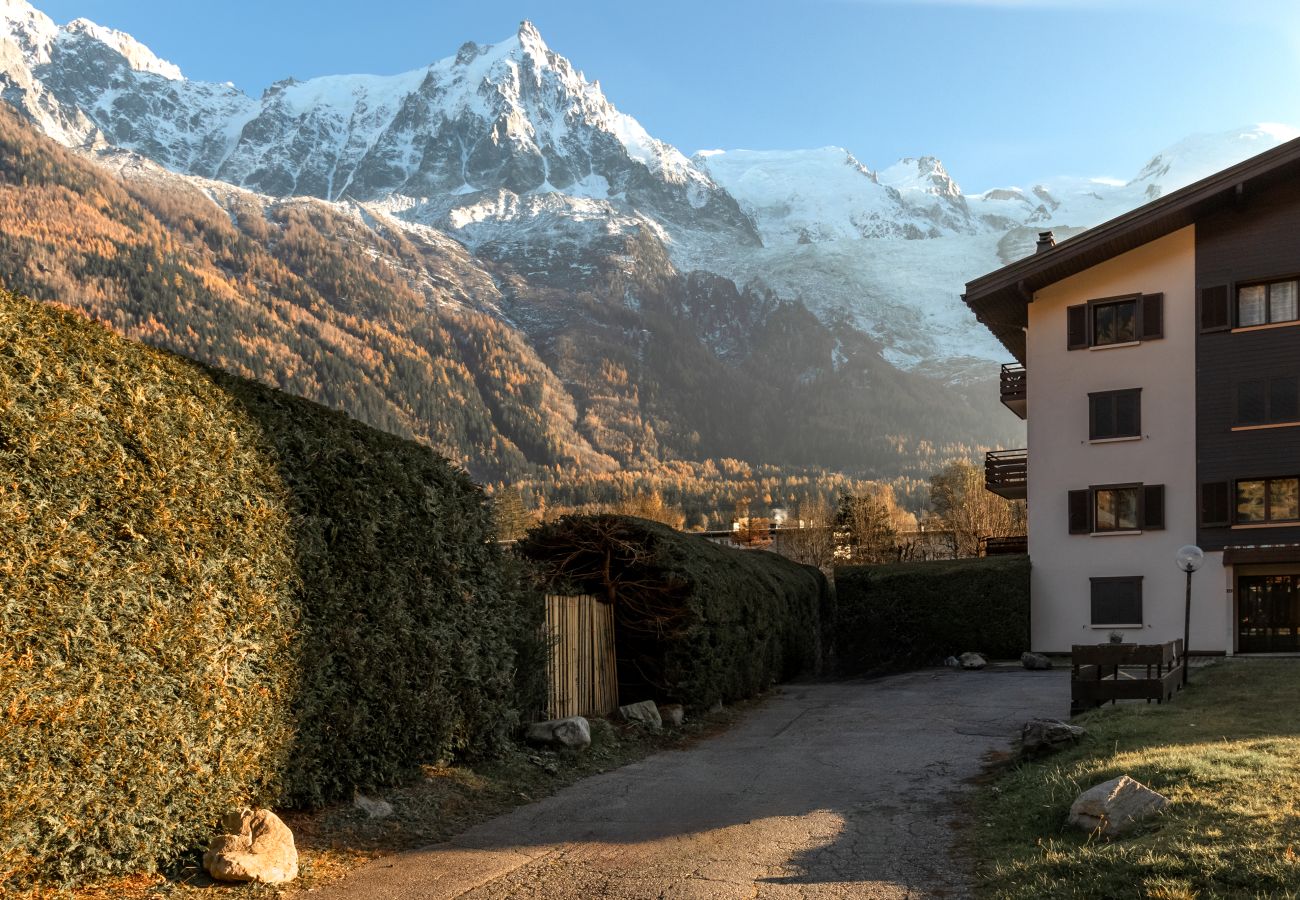 Apartment in Chamonix-Mont-Blanc - Cristal des Glaces - Balcon avec vue imprenable