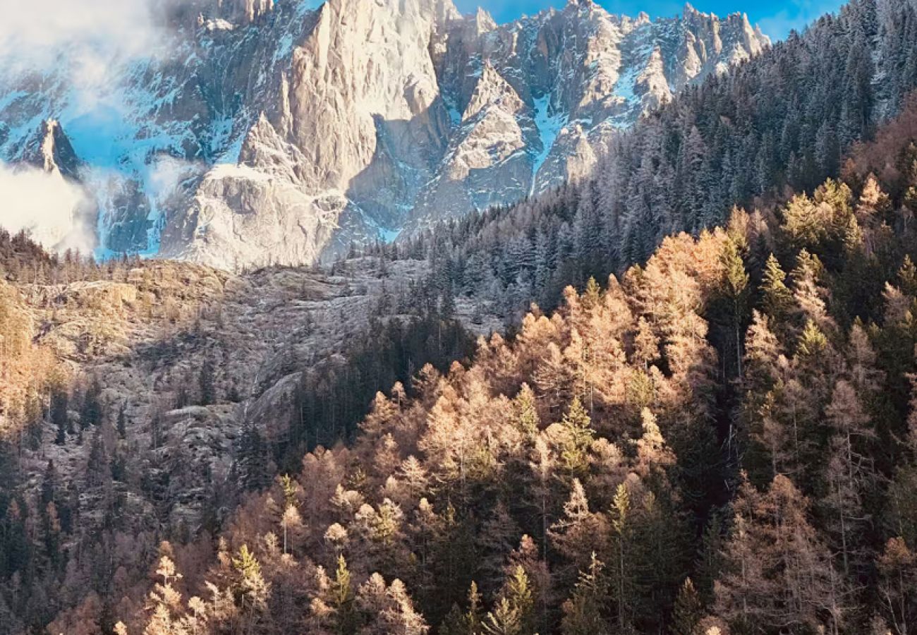 Apartment in Chamonix-Mont-Blanc - Le Nevada - Duplex T4  Proche Centre