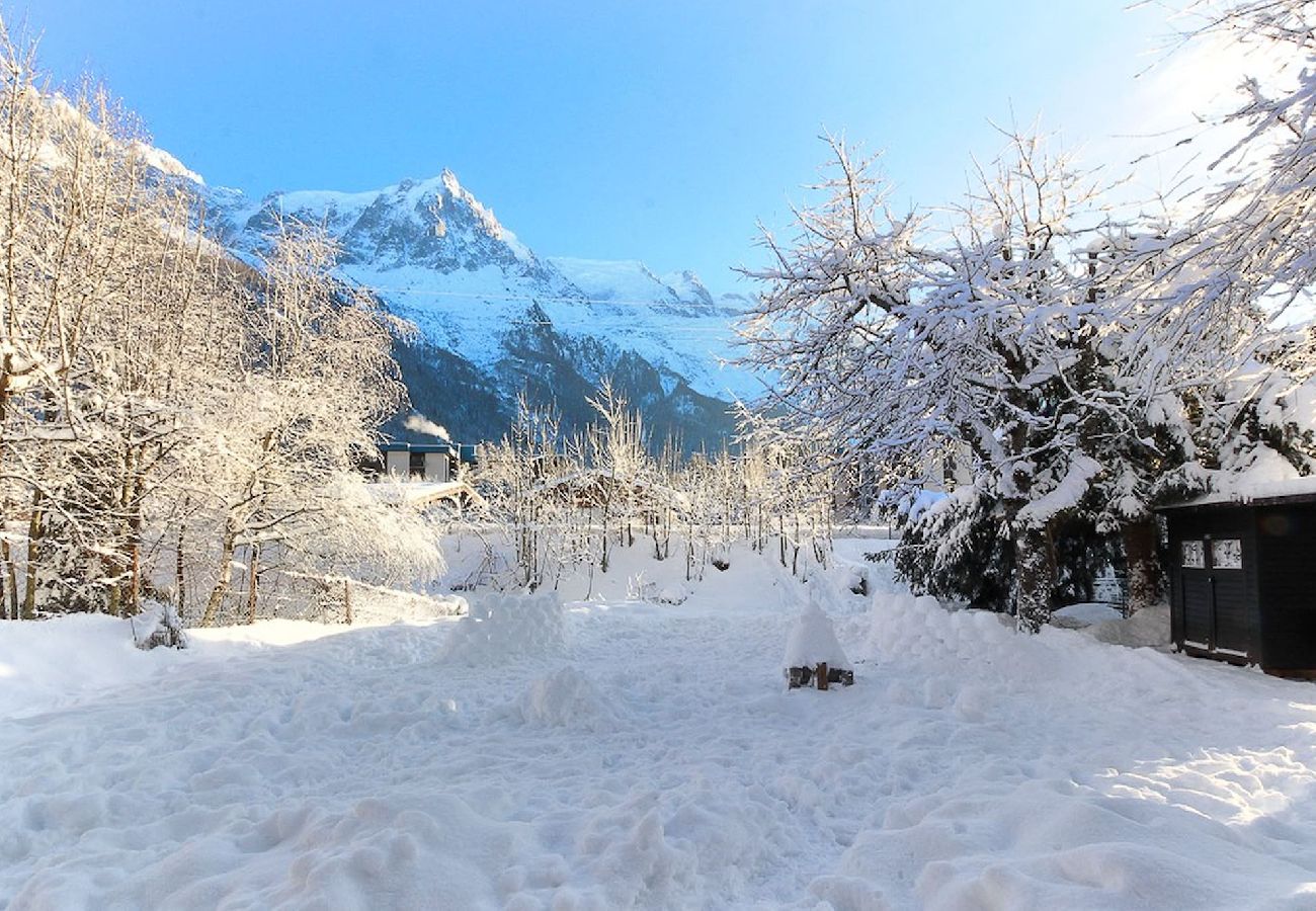 Apartamento en Chamonix-Mont-Blanc - Les Fleurs de Cham bottom - Jardin privé - Vues -