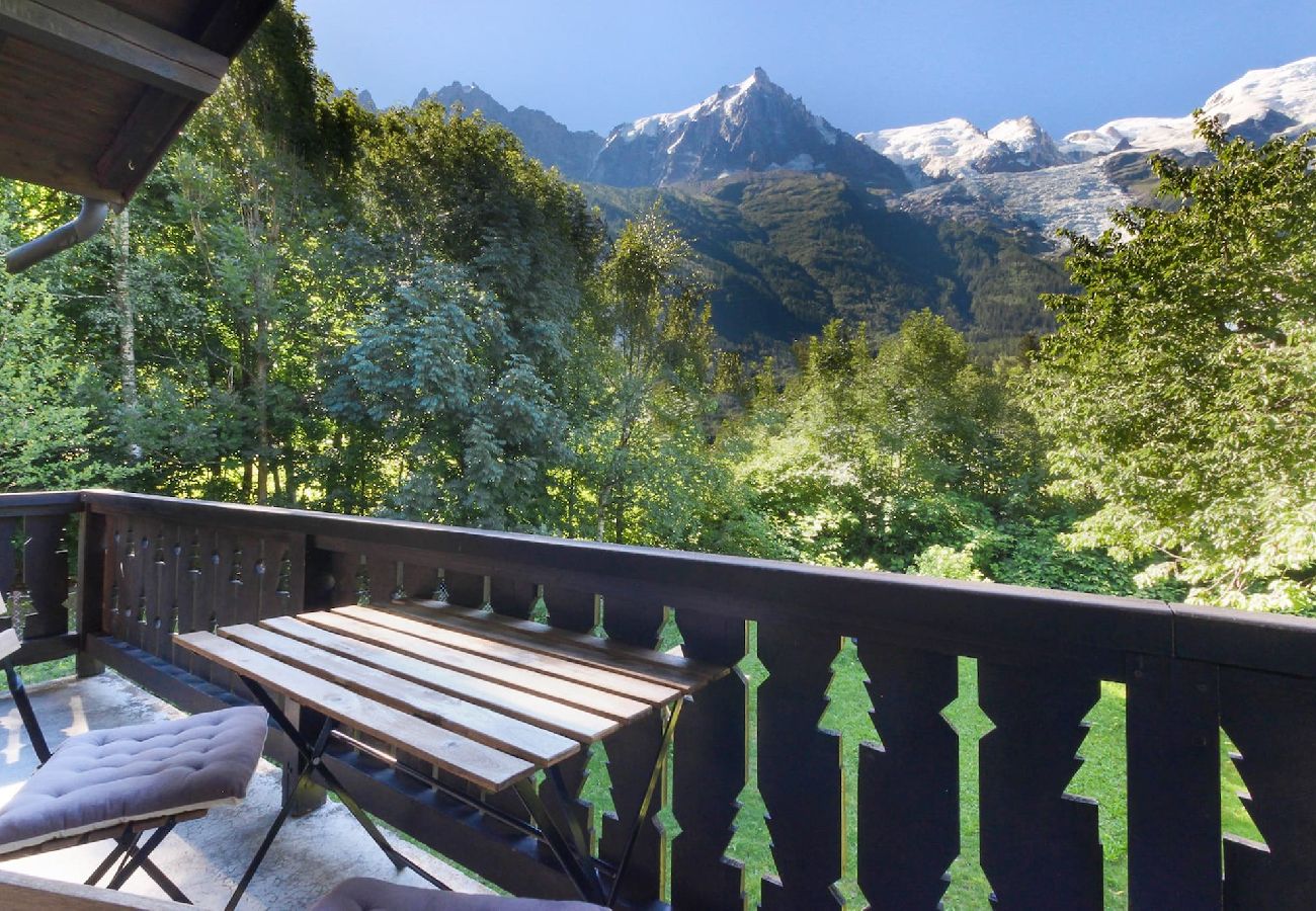 Apartamento en Chamonix-Mont-Blanc - Les Fleurs de Cham top - Jardin vues - Rénové