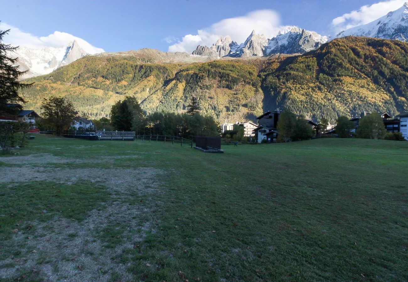 Apartamento en Chamonix-Mont-Blanc - Beau Glacier - Ski au pied - Centre