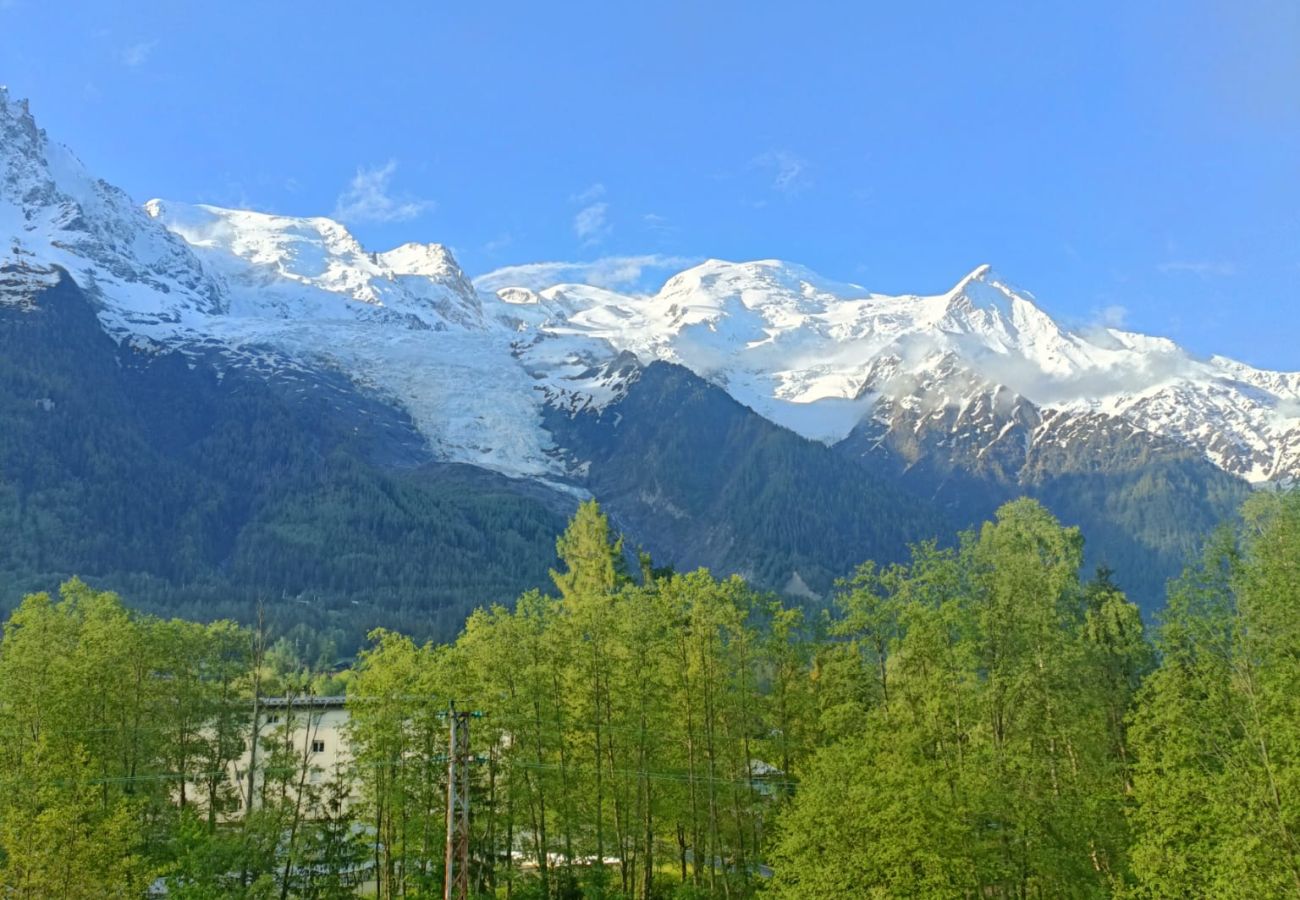 Apartamento en Chamonix-Mont-Blanc - Lac des Gaillands - Rénové - Balcon avec vues