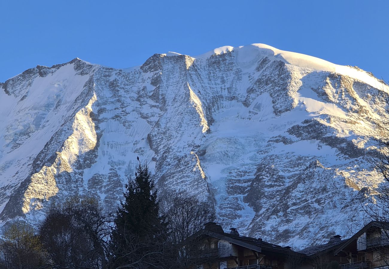 Villetta a Saint-Gervais-les-Bains - Ferme Picherie 25 Pax - Calm - Vue Panoramique