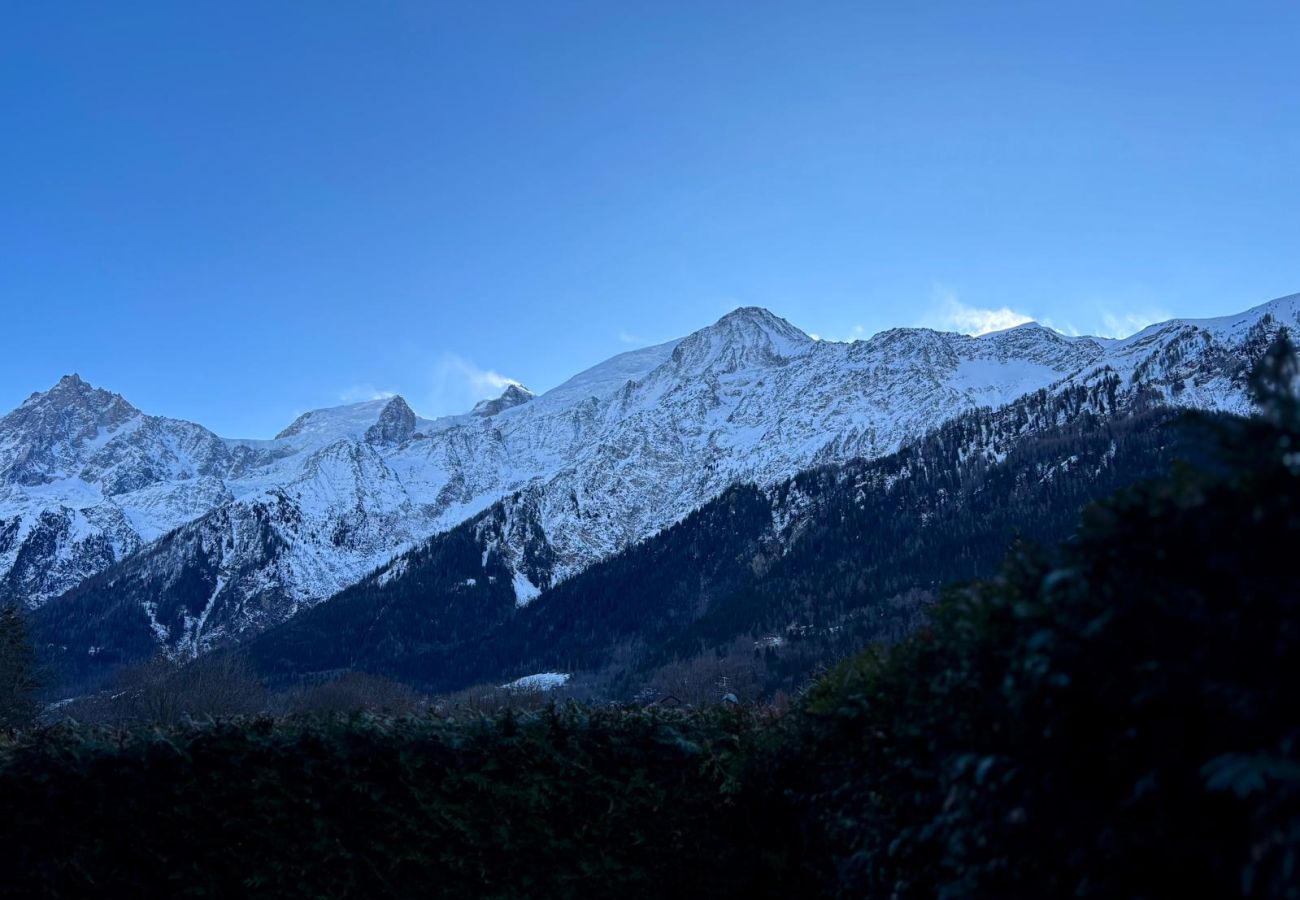 Studio a Les Houches - Le Cocon du Prarion – Ski, vue & jardin