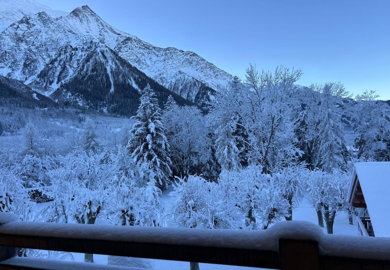 Appartement à Chamonix-Mont-Blanc - Les Ecrins des Bossons - Terrasse - vue Mt.Blanc
