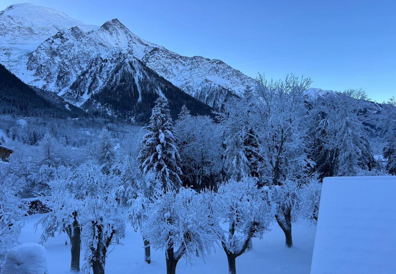 Appartement à Chamonix-Mont-Blanc - Les Ecrins des Bossons - Terrasse - vue Mt.Blanc