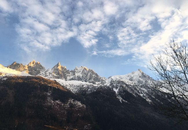 Chalet à Chamonix-Mont-Blanc - Clos des Vorgeats - Duplex Mt-Blanc View Chalet à Chamonix-Mont-Blanc - Clos des Vorgeats - Duplex Mt-Blanc View