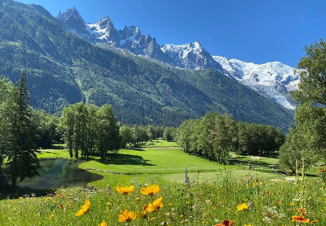 Chalet à Chamonix-Mont-Blanc - Clos des Vorgeats - Duplex Mt-Blanc View Chalet à Chamonix-Mont-Blanc - Clos des Vorgeats - Duplex Mt-Blanc View