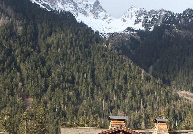 Chalet à Chamonix-Mont-Blanc - Clos des Vorgeats - Duplex Mt-Blanc View Chalet à Chamonix-Mont-Blanc - Clos des Vorgeats - Duplex Mt-Blanc View