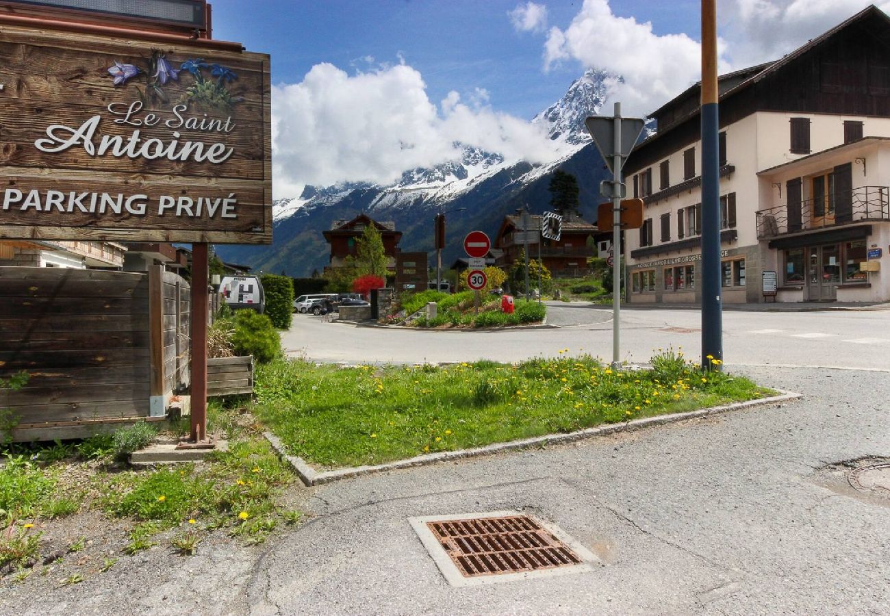 Appartement à Les Houches - Les Dryades · Renovated Solo or Couples Apt | View