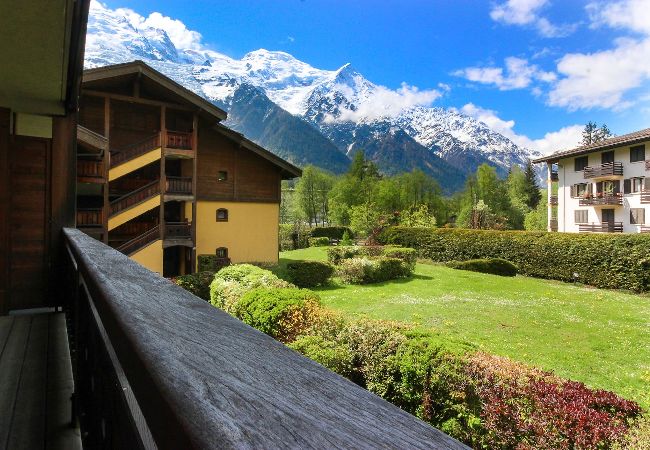 Chamonix-Mont-Blanc - Appartement