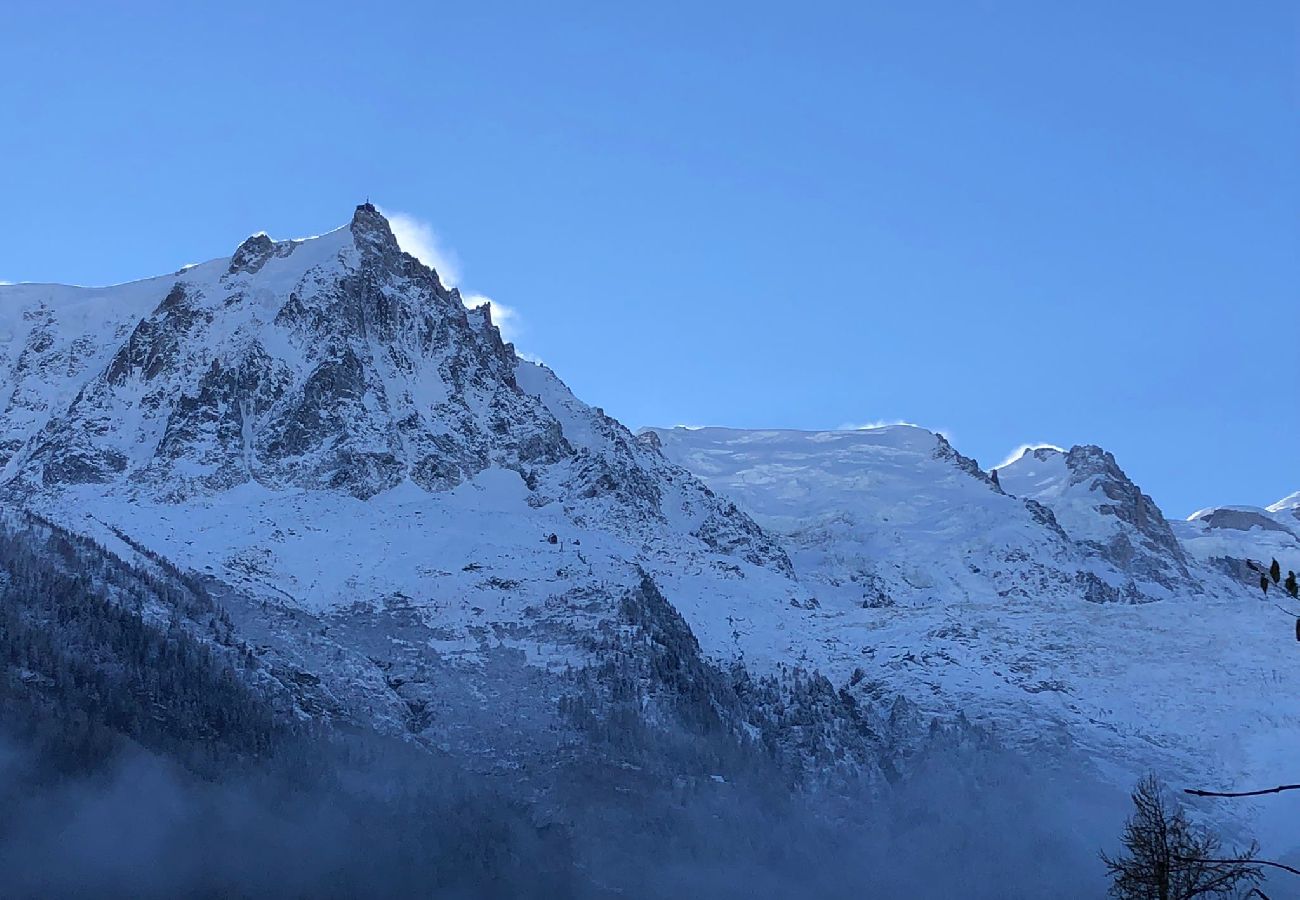 Appartement à Chamonix-Mont-Blanc - Les Alpins - Central - Garden & Mt-Blanc View