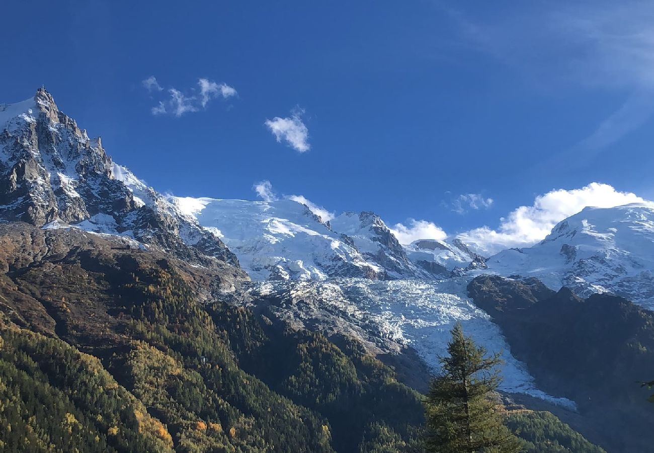 Appartement à Chamonix-Mont-Blanc - Les Alpins - Central - Garden & Mt-Blanc View