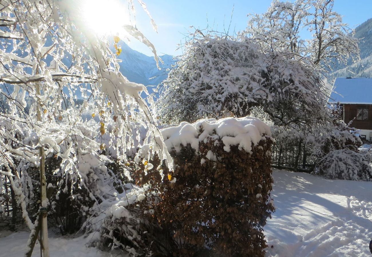 Appartement à Chamonix-Mont-Blanc - Les Alpins - Central - Garden & Mt-Blanc View