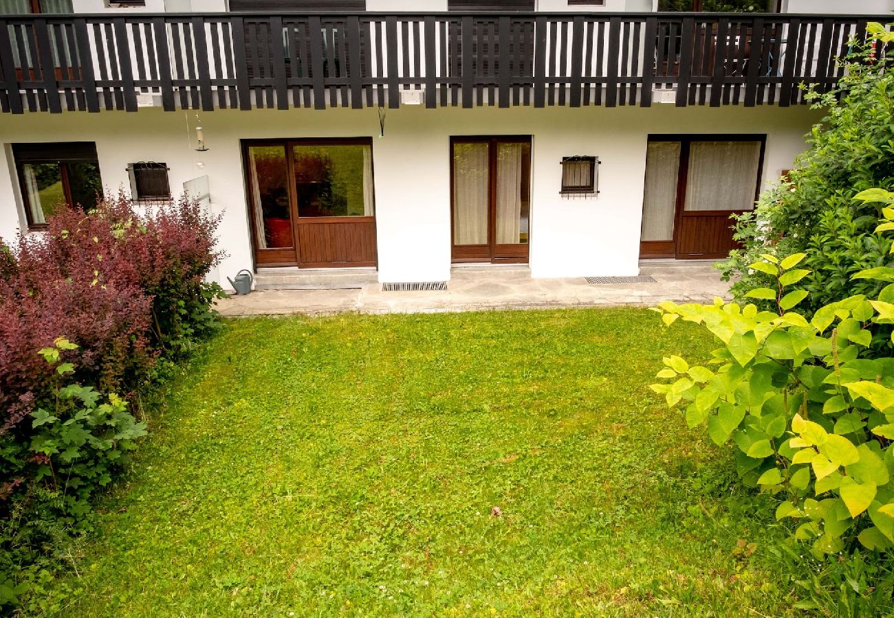 Appartement à Chamonix-Mont-Blanc - Les Aiguilles du Brevent - Ski aux pieds - Terrass