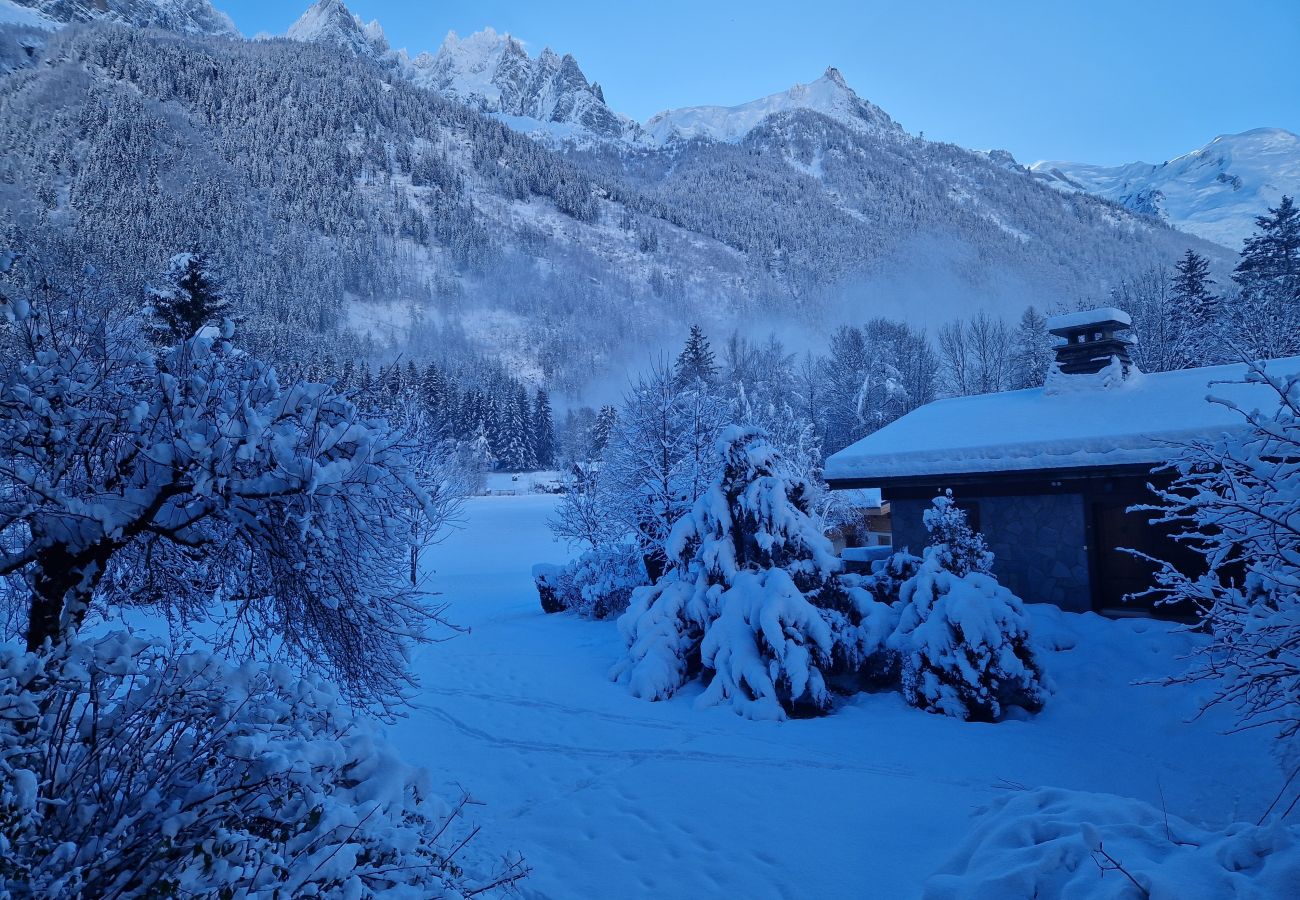 Appartement à Chamonix-Mont-Blanc - Les Tussilages - Balcon et Terrasse vue Mont-Blanc