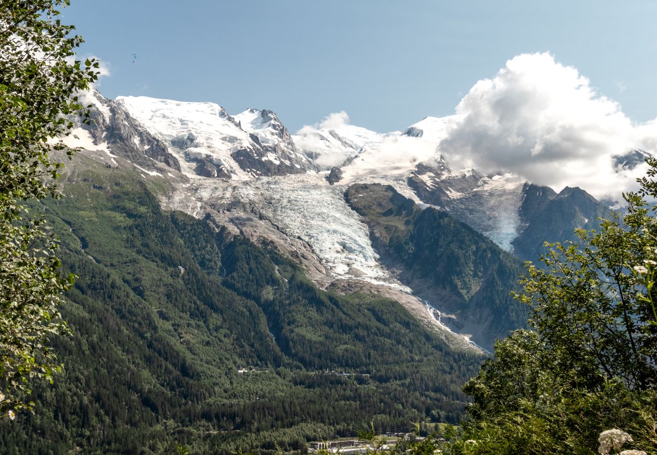 Chalet à Chamonix-Mont-Blanc - Chalet Soljanel