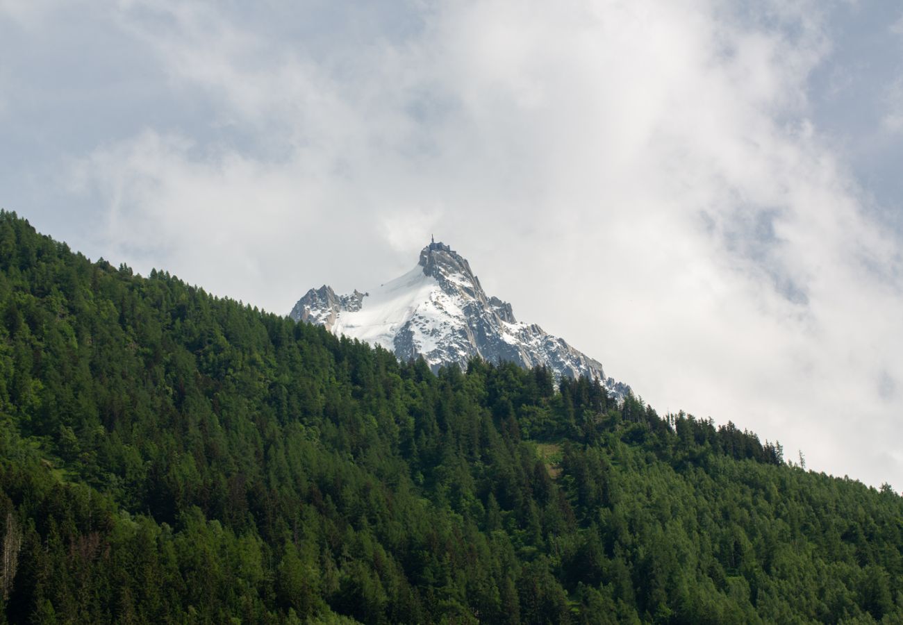 Appartement à Chamonix-Mont-Blanc - Les Barrats - Duplex - Central - Vue Mont-Blanc