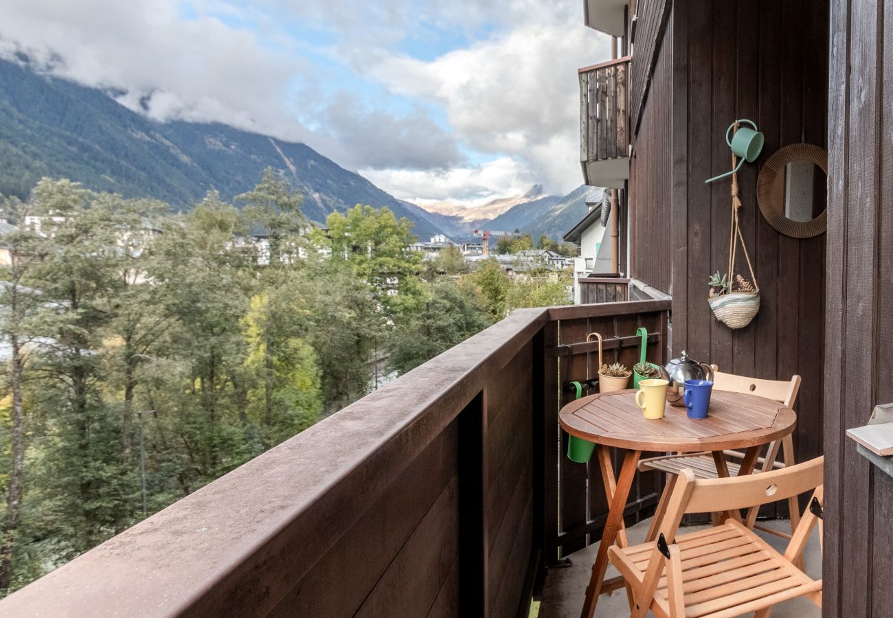 Appartement à Chamonix-Mont-Blanc - Grepon Paradis